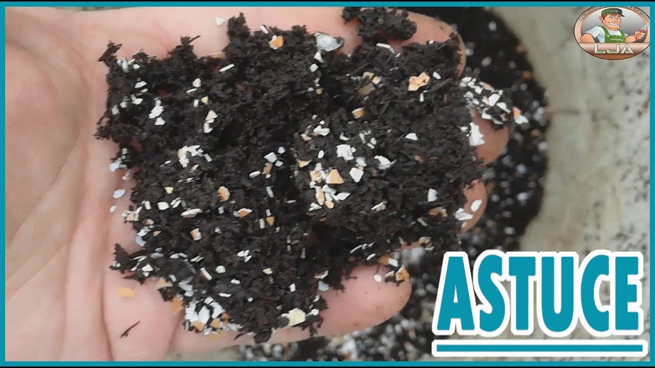 ASTUCE COMMENT REMPLACER LE TERREAU A SEMIS