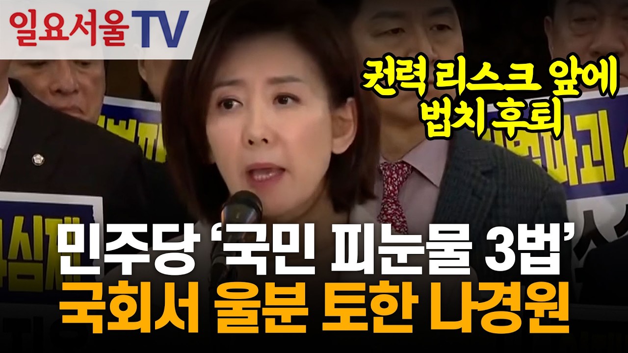 민주당 '국민 피눈물 3법'... 국회서 울분 토한 나경원