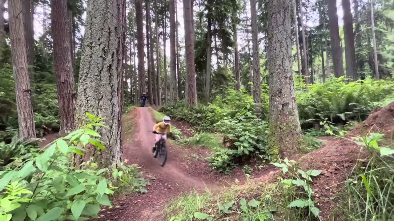 Mountain biking journey #crazy #fun #mtb #learning #nature #mtbjumps #mtbfun