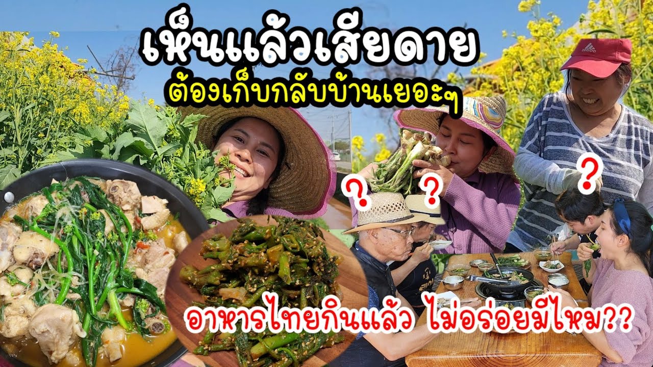 EP.646 เห็นเเล้วเสียดาย ต้องเก็บกลับบ้านเยอะๆ  อาหารไทยกินแล้วไม่อร่อยมีไหม??