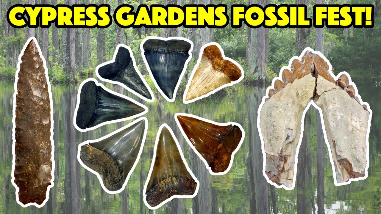 Cypress Gardens Fossil Show 2022 (EPIC Return!)