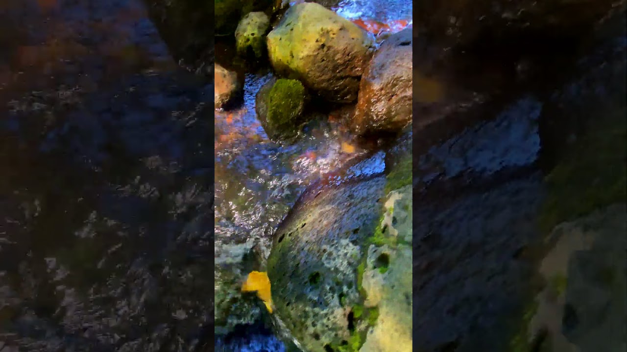 10 Hours Long Rain Sounds by Still Point 