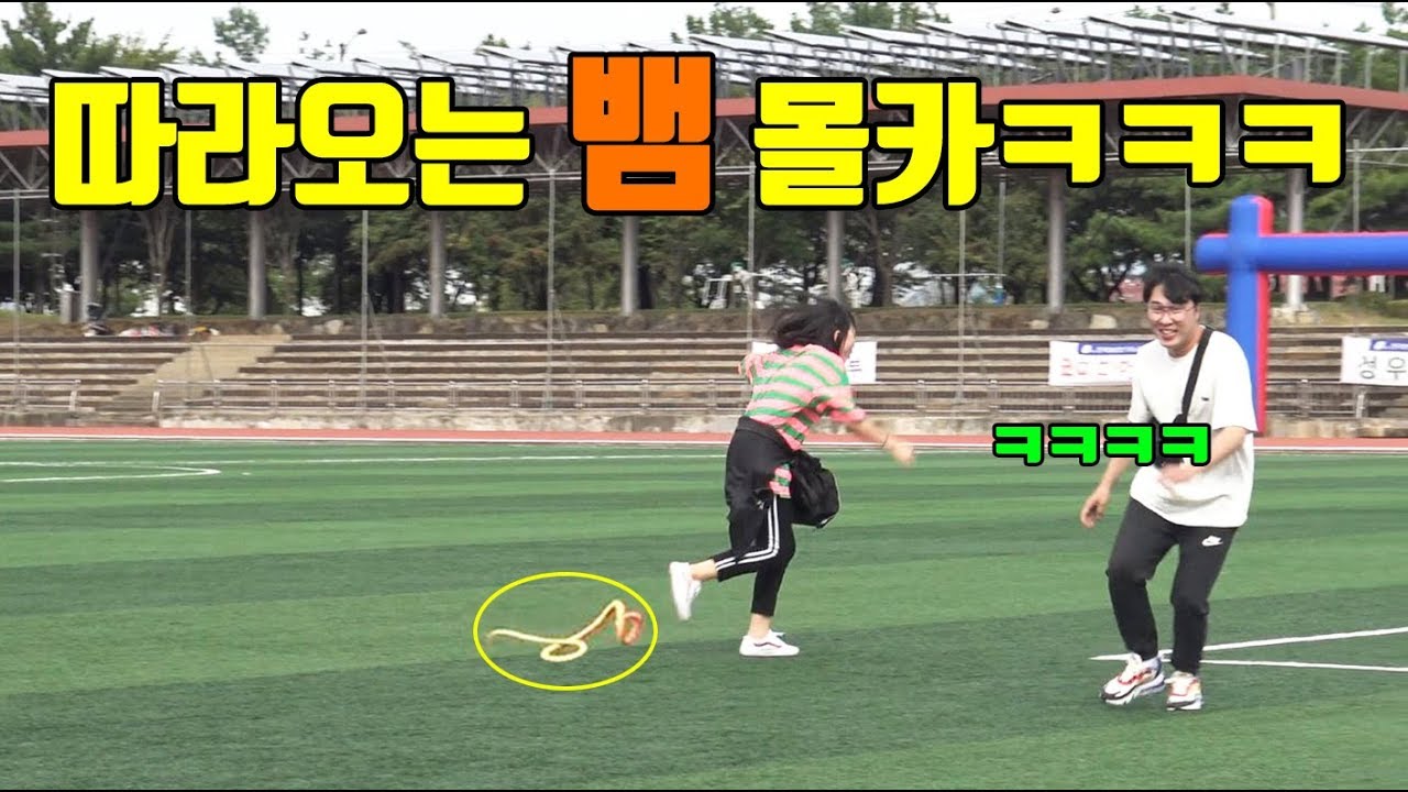몰카 ) 따라오는 뱀 몰카 ㅋㅋㅋㅋㅋ 반응 역대급 꿀잼 ㅋㅋㅋㅋㅋ
