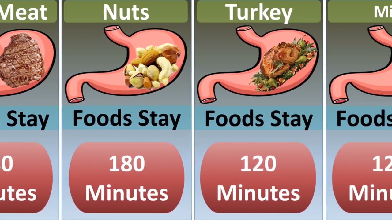 What Foods Take The Longest to Digest