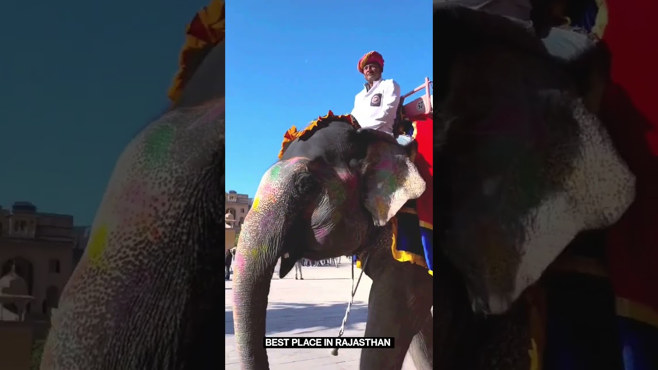 Amer Fort Jaipur elephant Riding ❤️ Jaipur Most Beautiful Place for travel #india #rajasthan #jaipur