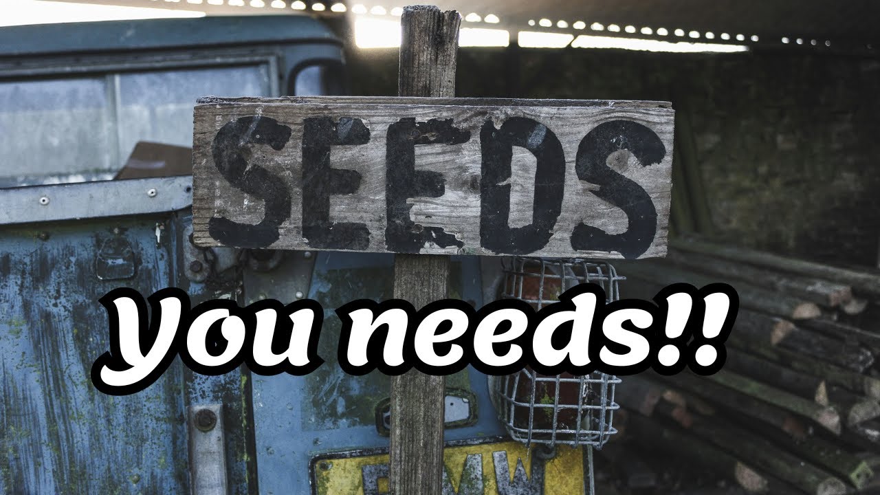 You need these 3 seed companies in your life!