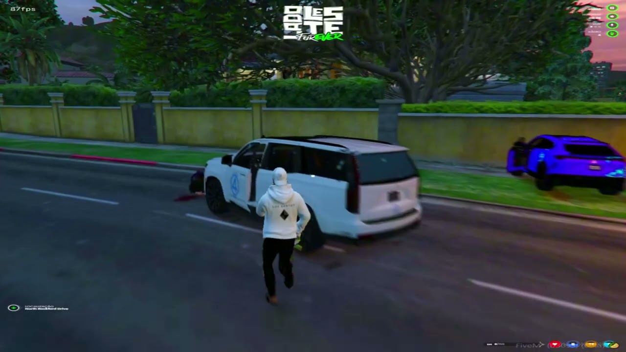 Highlights Dnyz #08 (100% LADO LESTE)