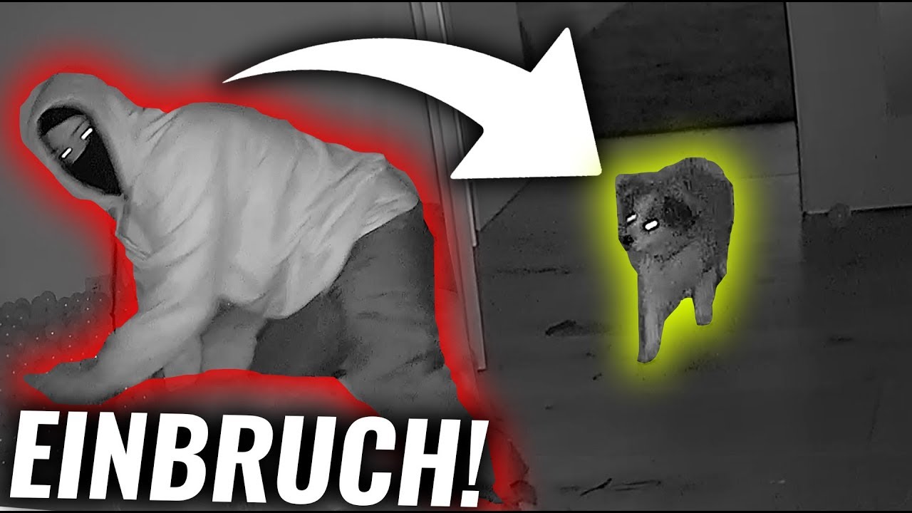 Wie reagiert mein HUND auf EINBRECHER?