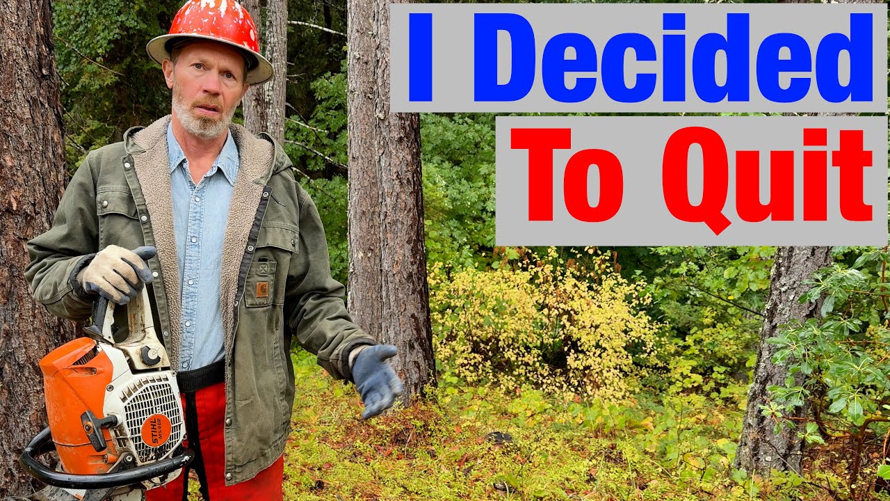 Why I Quit Logging & Working in the Woods