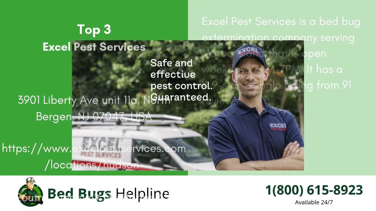 Top 3 Bed Bug Removal in Marco Island