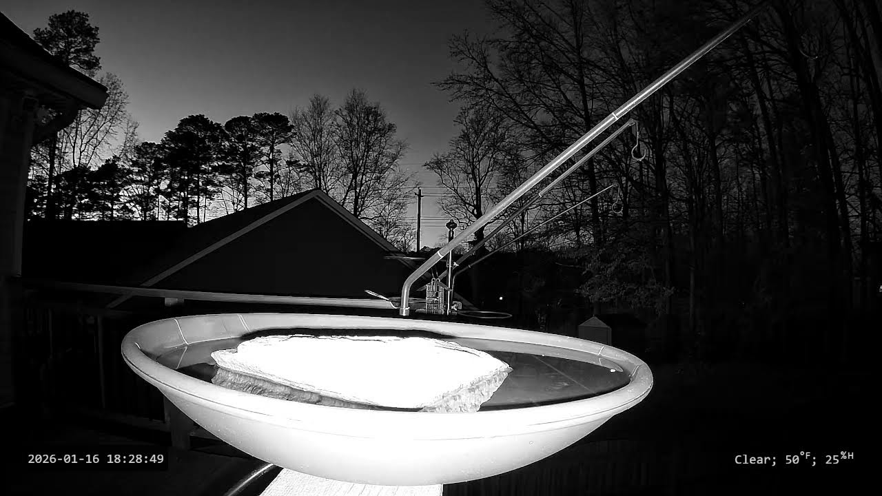 Deck Cam - Pre-Spring Camera Test