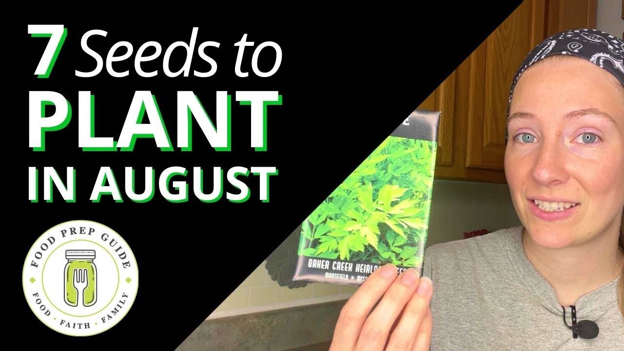 What to Plant in August for a Fall Harvest