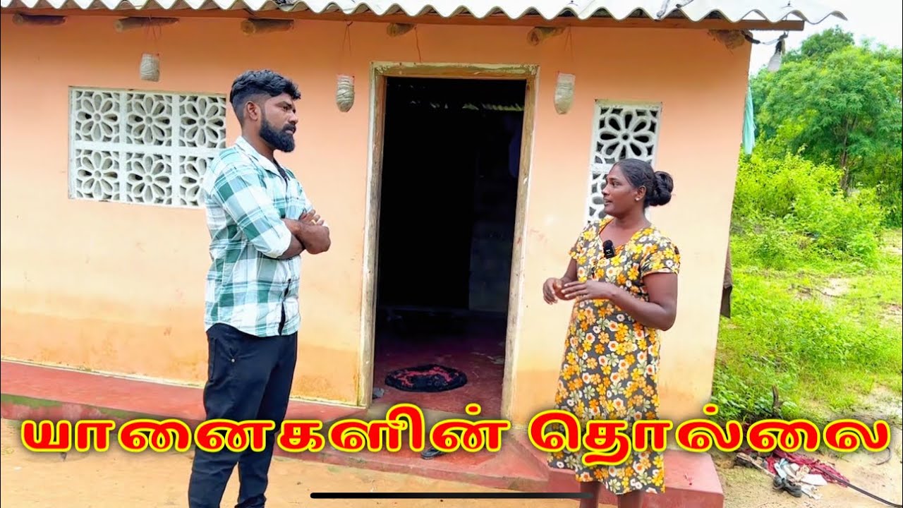 யானைகளின் தொல்லை dk karththik dkvanni