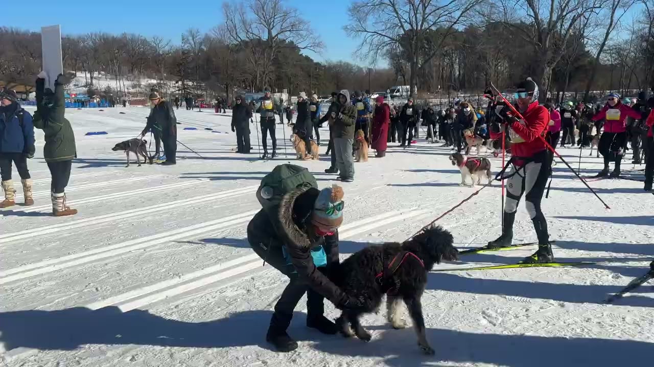 City of Lakes Skijor - January 31, 2026