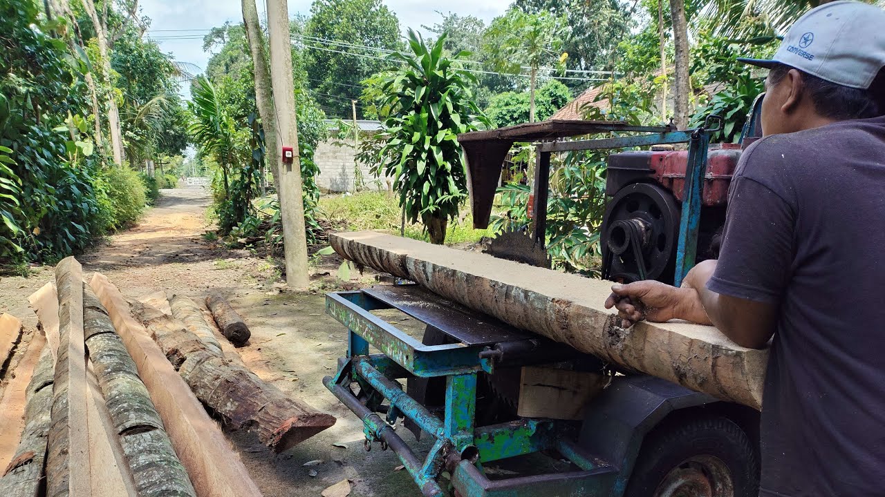 penggergajian kayu kelapa dengan mesin serkel rakitan