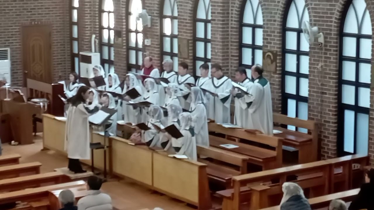 [대화동성당 새로핌성가대] 20260201 연중4주 특송 원하고 바라고 기도합니다