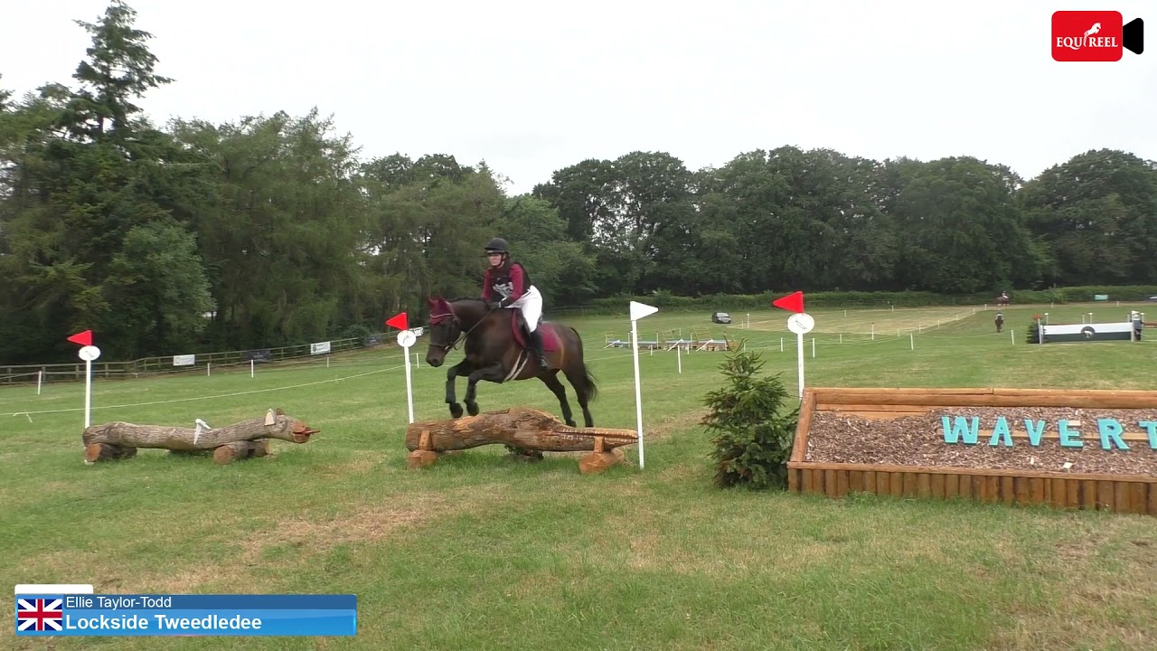 Cotswold Cup Waverton House ODE 80cm XC - Lockside Tweedledee (EquiReel)