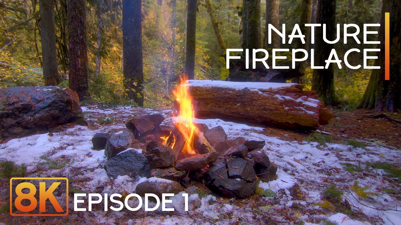 8K Nature Fireplace - Episode 1 | Calming Forest Campfire Ambience with Crackling Flames & Birdsong