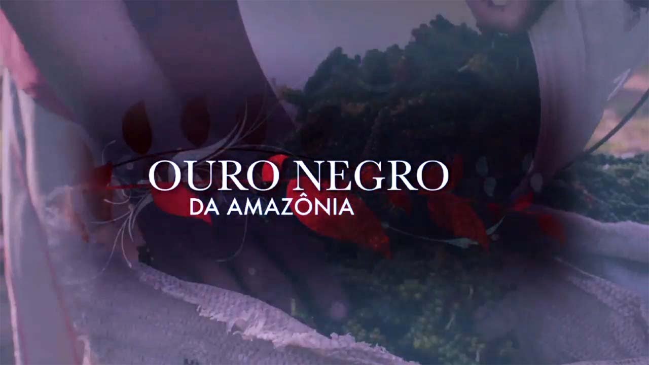 Embrapa Amazônia Oriental - Série 
