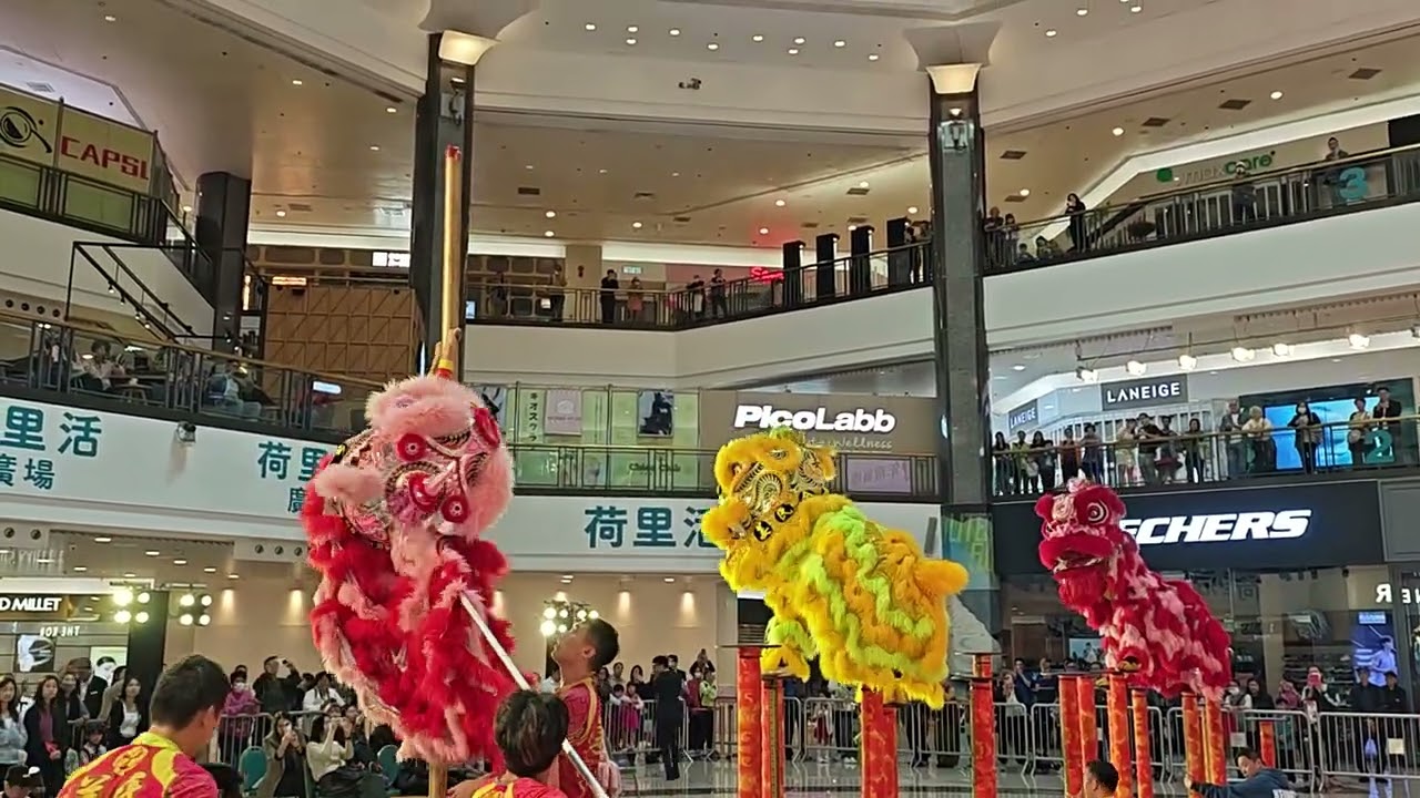 ［醒獅賀歲表演］氏姜龍獅體育會 | 荷裡活廣場（2026.2.24）