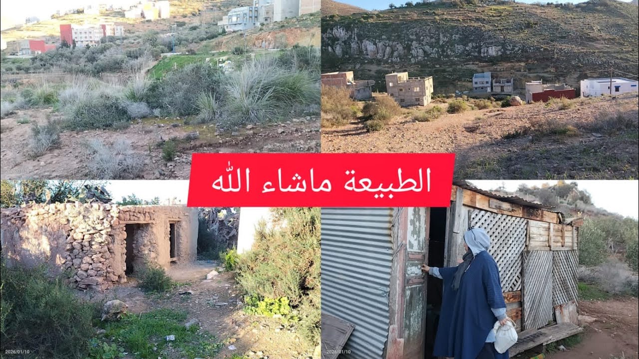 جولة في الطبيعة من بعد ماطاحت الشتاء ماشاء الله😍