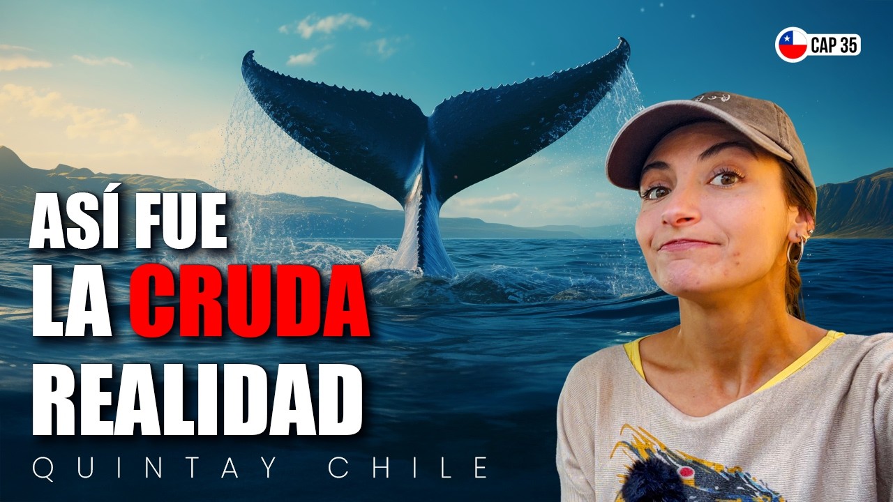 👉 La VERDAD de QUINTAY que nos DEJÓ en SHOCK 😨🐋 | Viajando por Chile