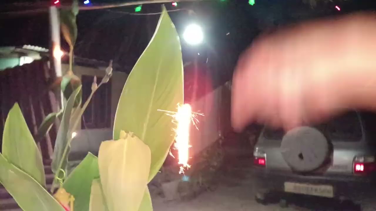 Celebrating Diwali