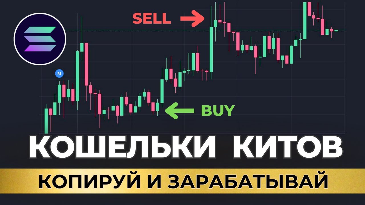 Ищем КОШЕЛЬКИ ИНСАЙДЕРОВ и копируем сделки / Копитрейдинг на Солане (Solana) через GMGN