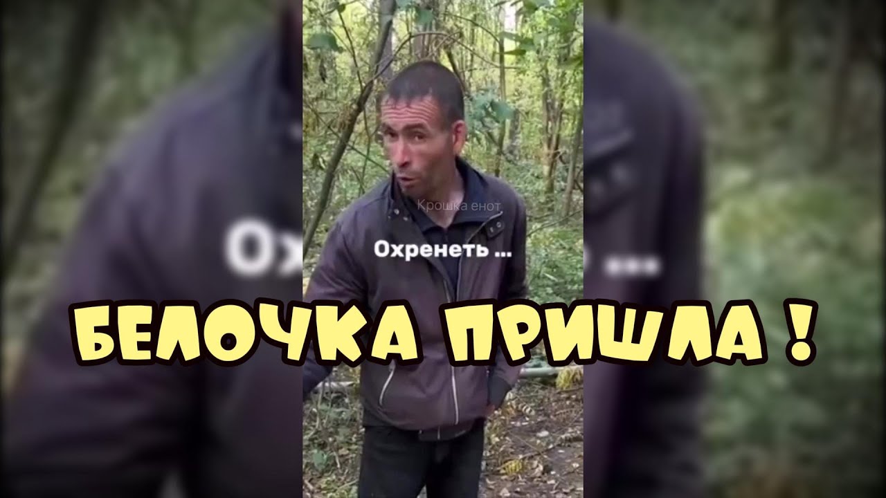 Белочка пришла Подборка приколов #поржать
