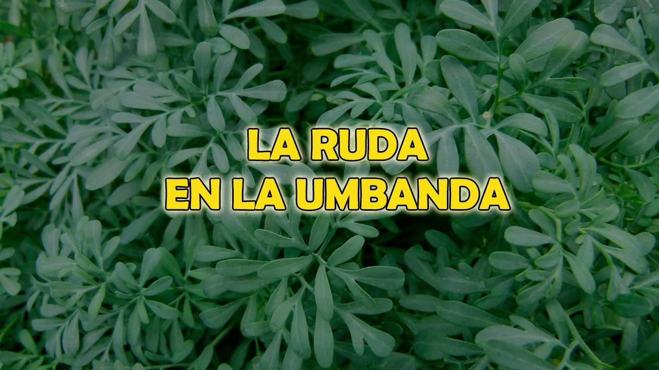 La Ruda en la Umbanda