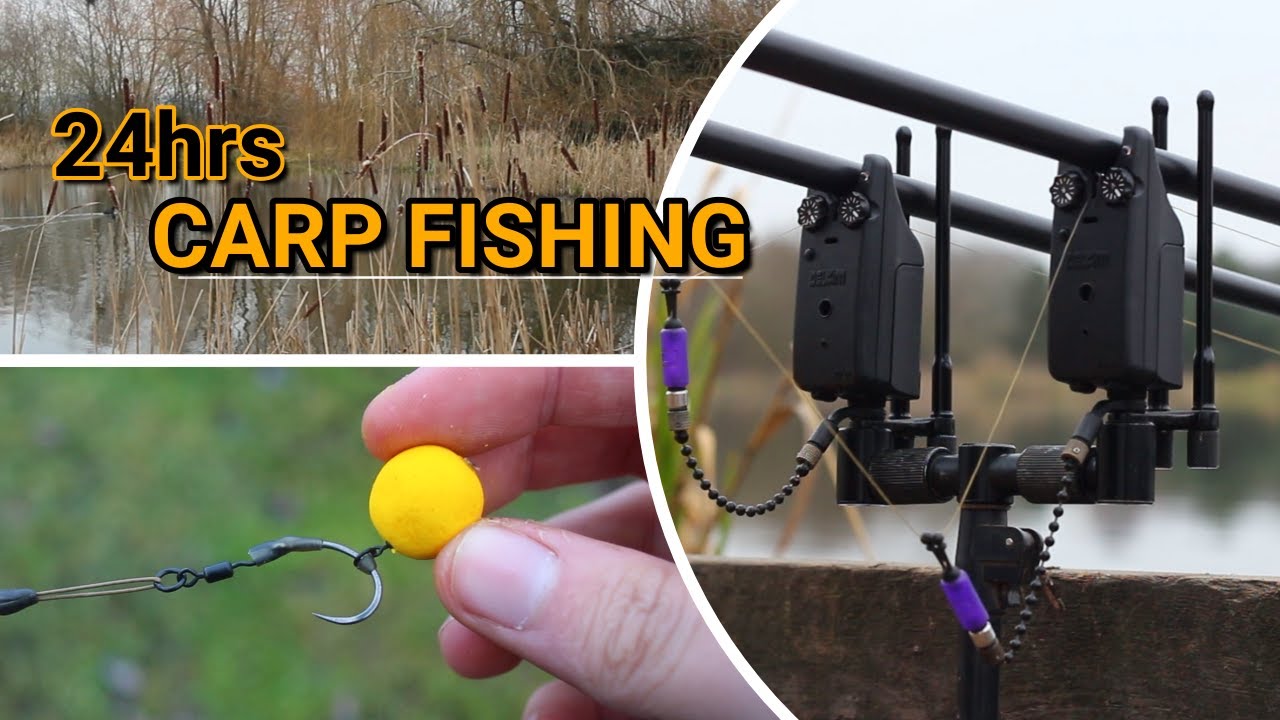 **24hrs CARP FISHING**Carp Basics uk ꟾ Monk Lakes ꟾ Ronnie Rig ꟾ January 2022