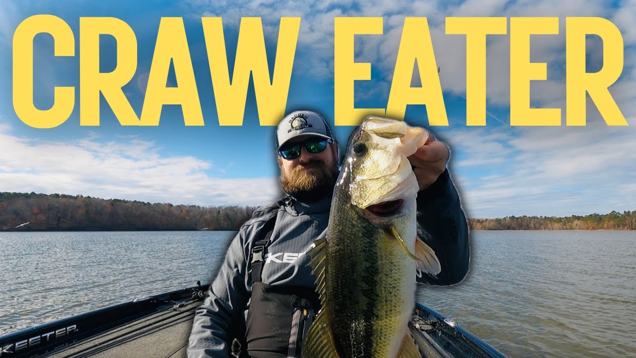 They're Eating CRAWFISH! - GIANT December Bass on Clarks Hill