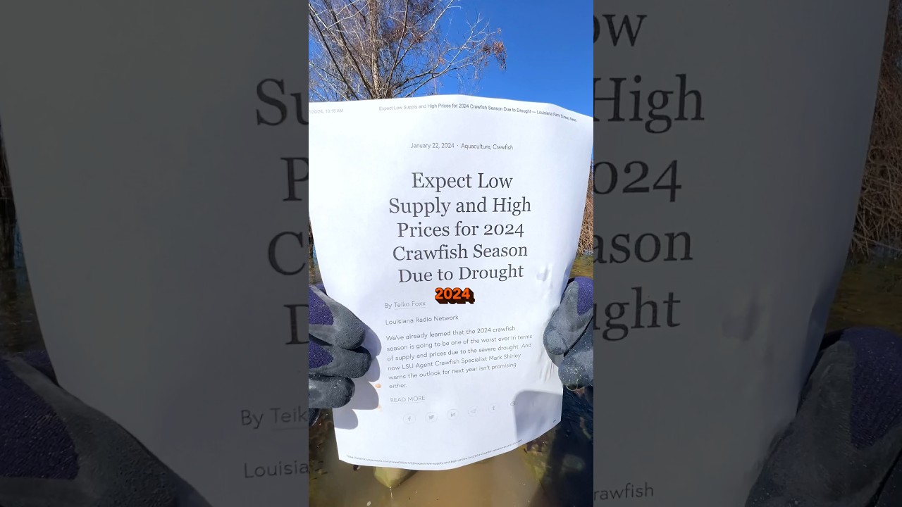 🦞IS CRAWFISH SEASON 2024 RUNIED?!