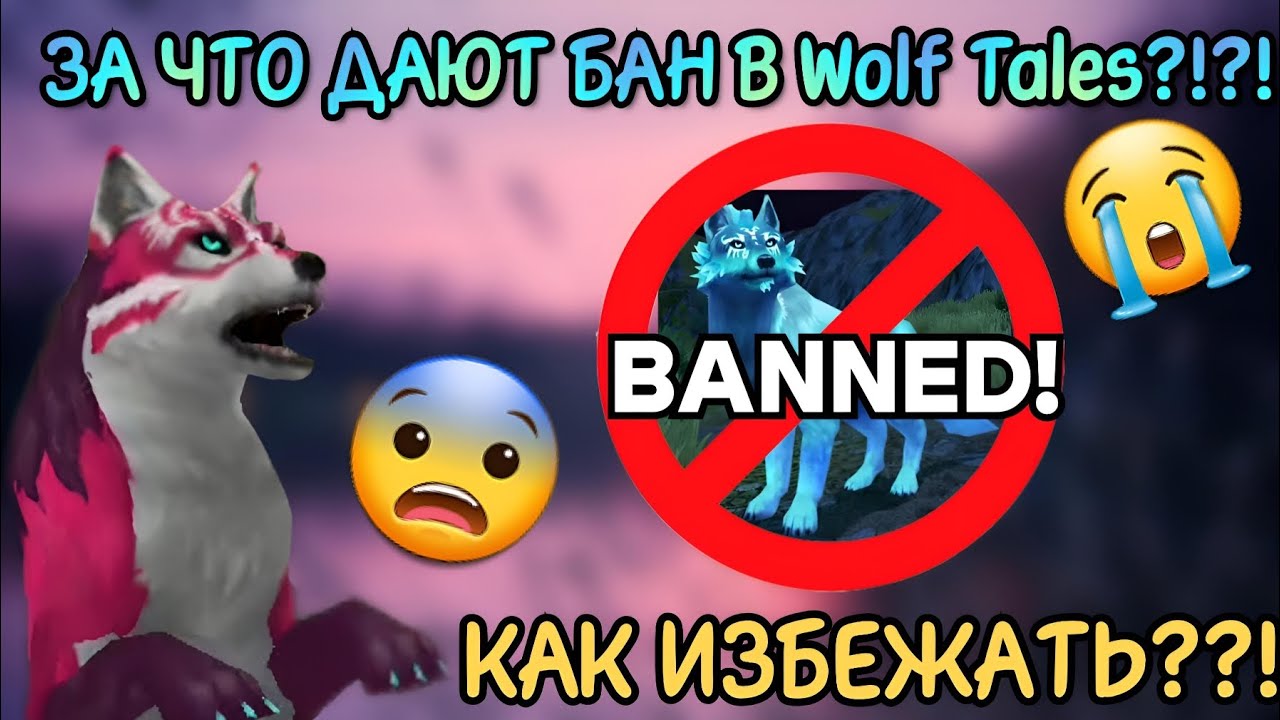 ЗА ЧТО БАНЯТ В Wolf Tales?!?! КАК ИЗБЕЖАТЬ???