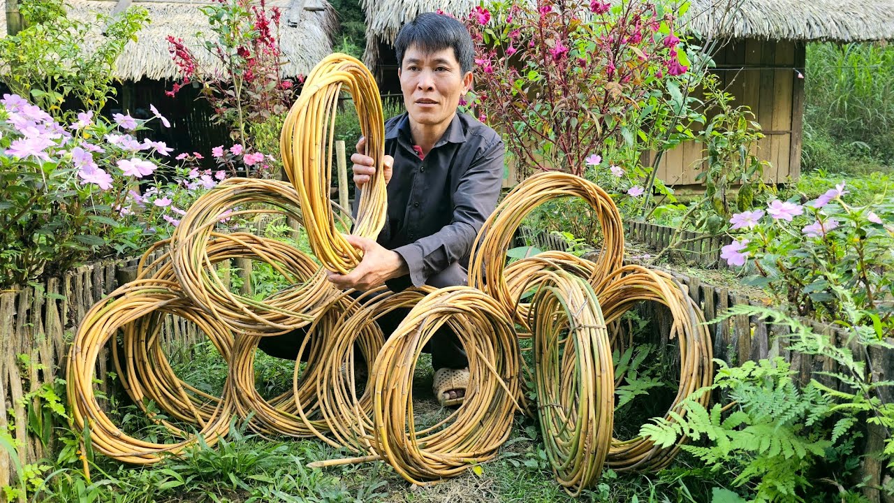 Harvesting Forest Rattan Goes to the market to sell - Build Daily Life | Solo Survival