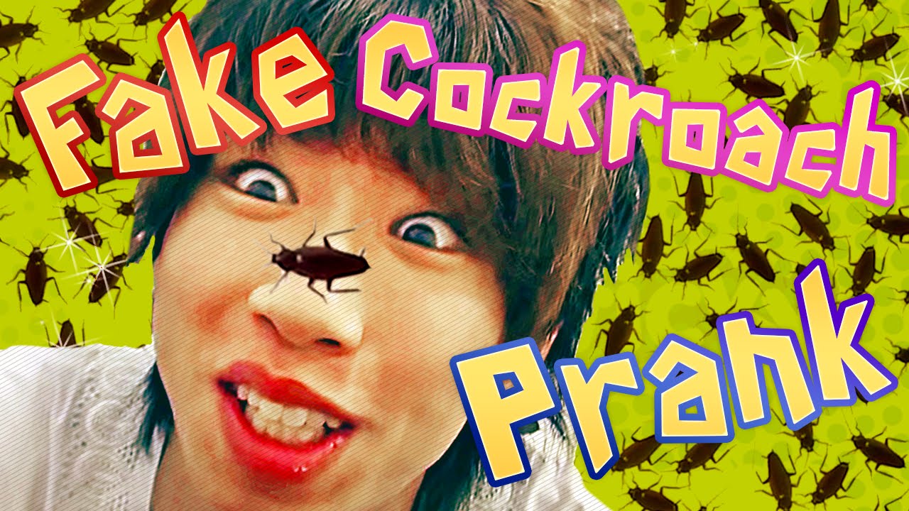 PERFECT COCKROACH PRANK!!