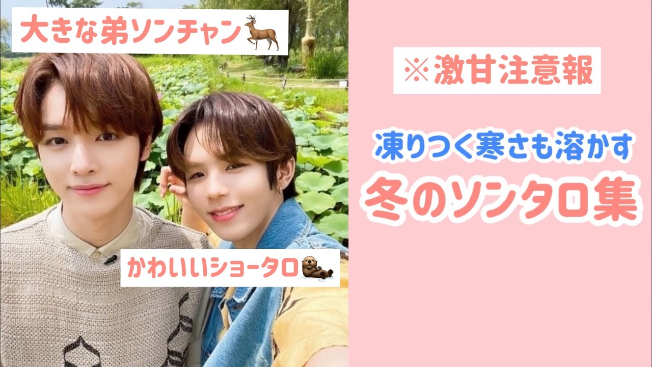 ソンタロの甘さはいかが？ #ショウタロウ #ソンチャン