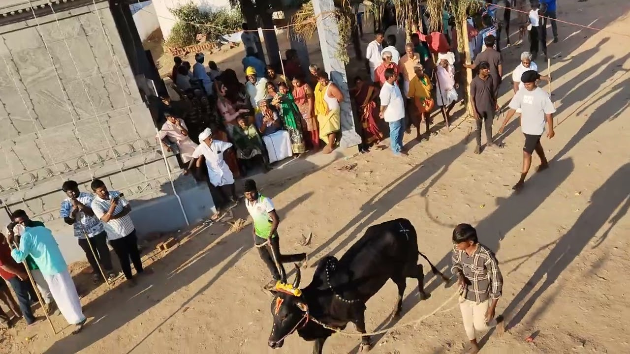 7 பிப்ரவரி, 2026