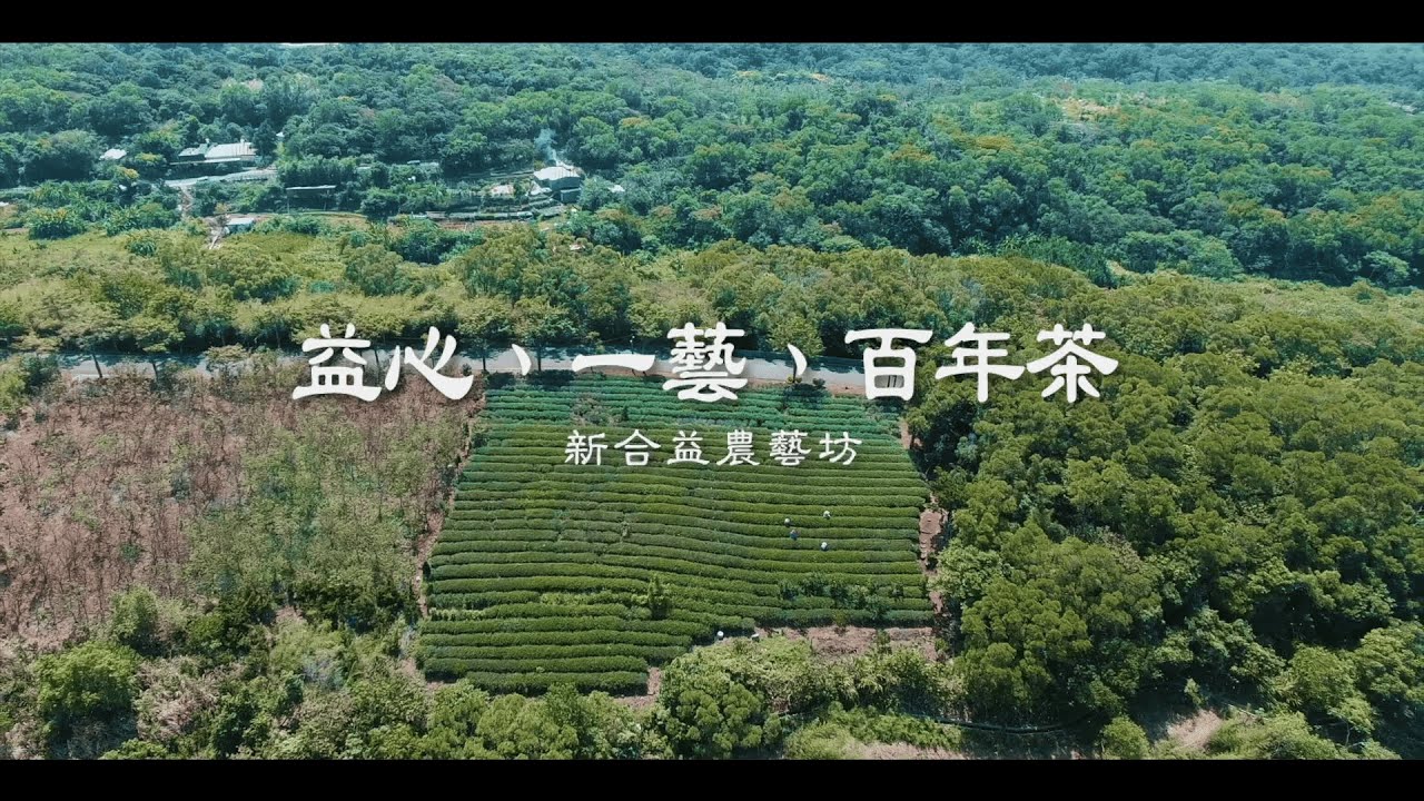 益心・一藝・百年茶