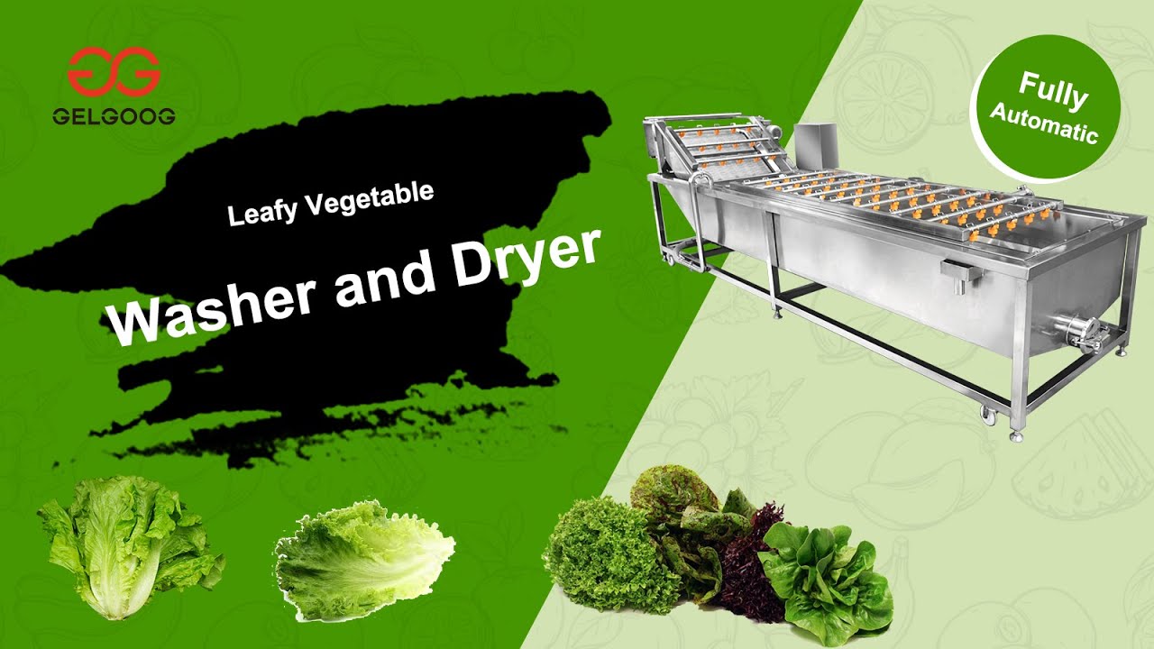 Lettuce Washing and Air Drying Machine/Industrial Leafy Vegetables Washer and Dryer