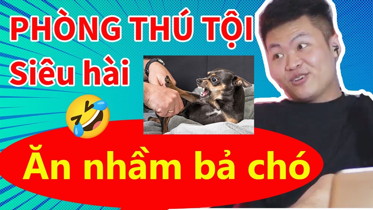 Ăn nhầm bả chó siêu hài 🤣 Hảo học sinh yêu thầm cô giáo 😆 và Cao thủ thả thính cực khét