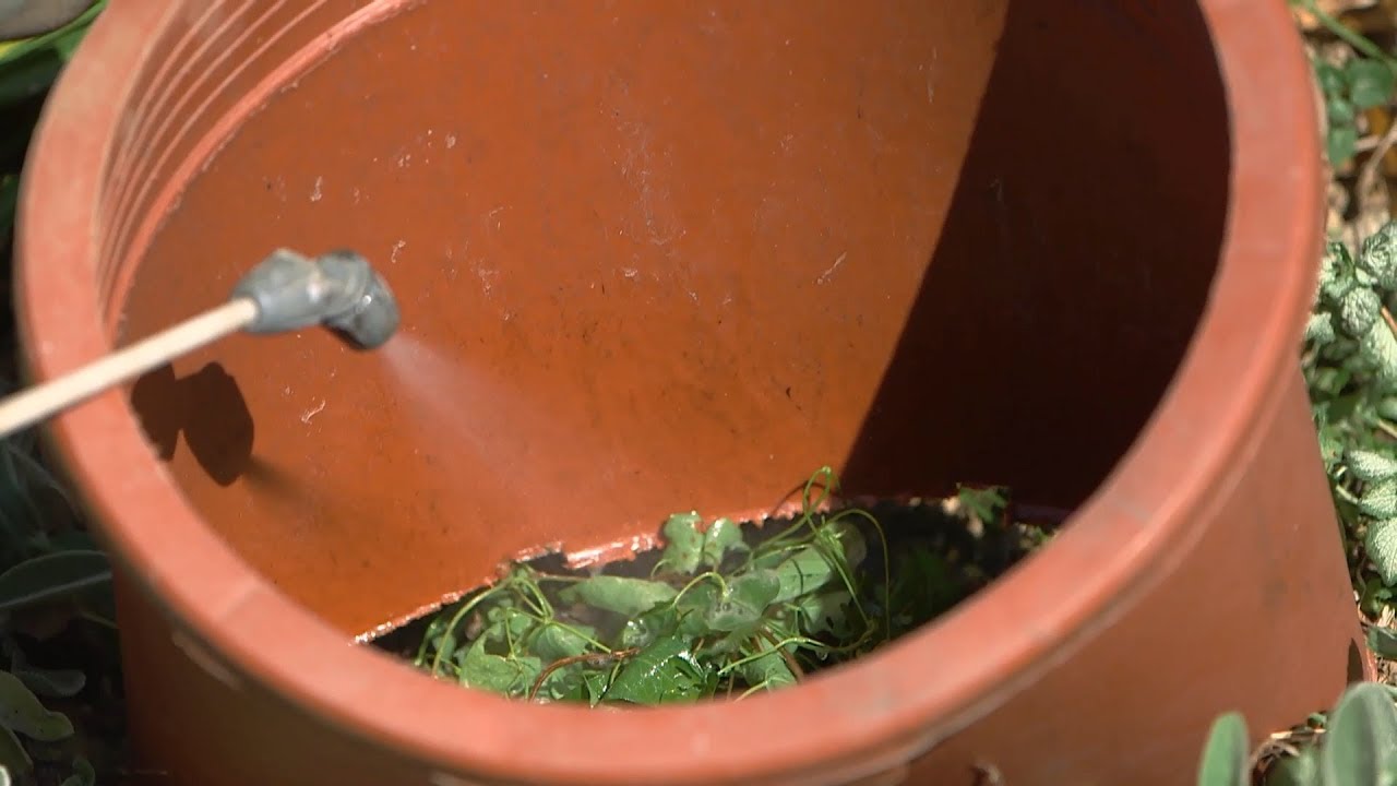 Cómo eliminar la correhuela - Bricomanía - 