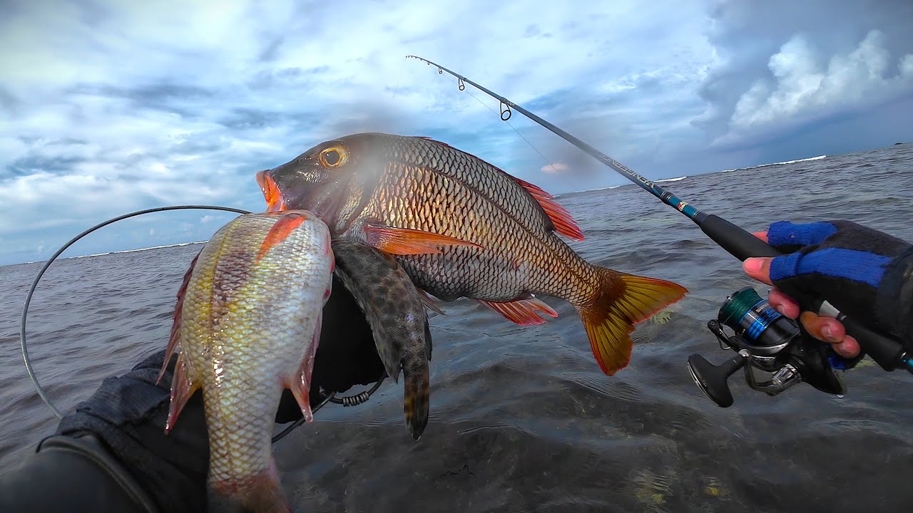 Epic Adventure: Offroading Siruma’s Coastal Hills, found Nemo, Fishing Ends With a Hooked Finger!