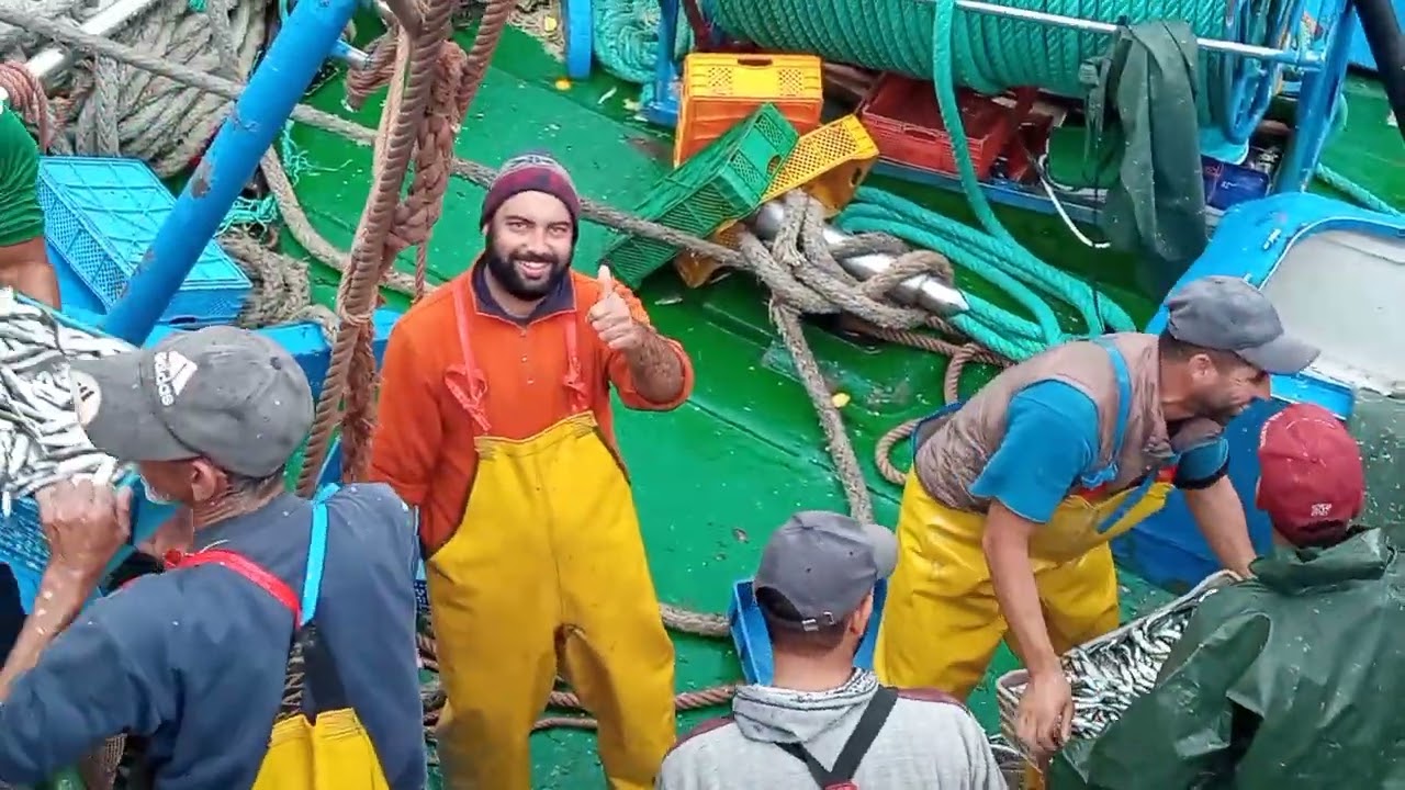 لحظة عودة مراكب الصيد الساحلي صنف السردين من رحلة الصيد صباح اليوم الى ميناء الصويرة