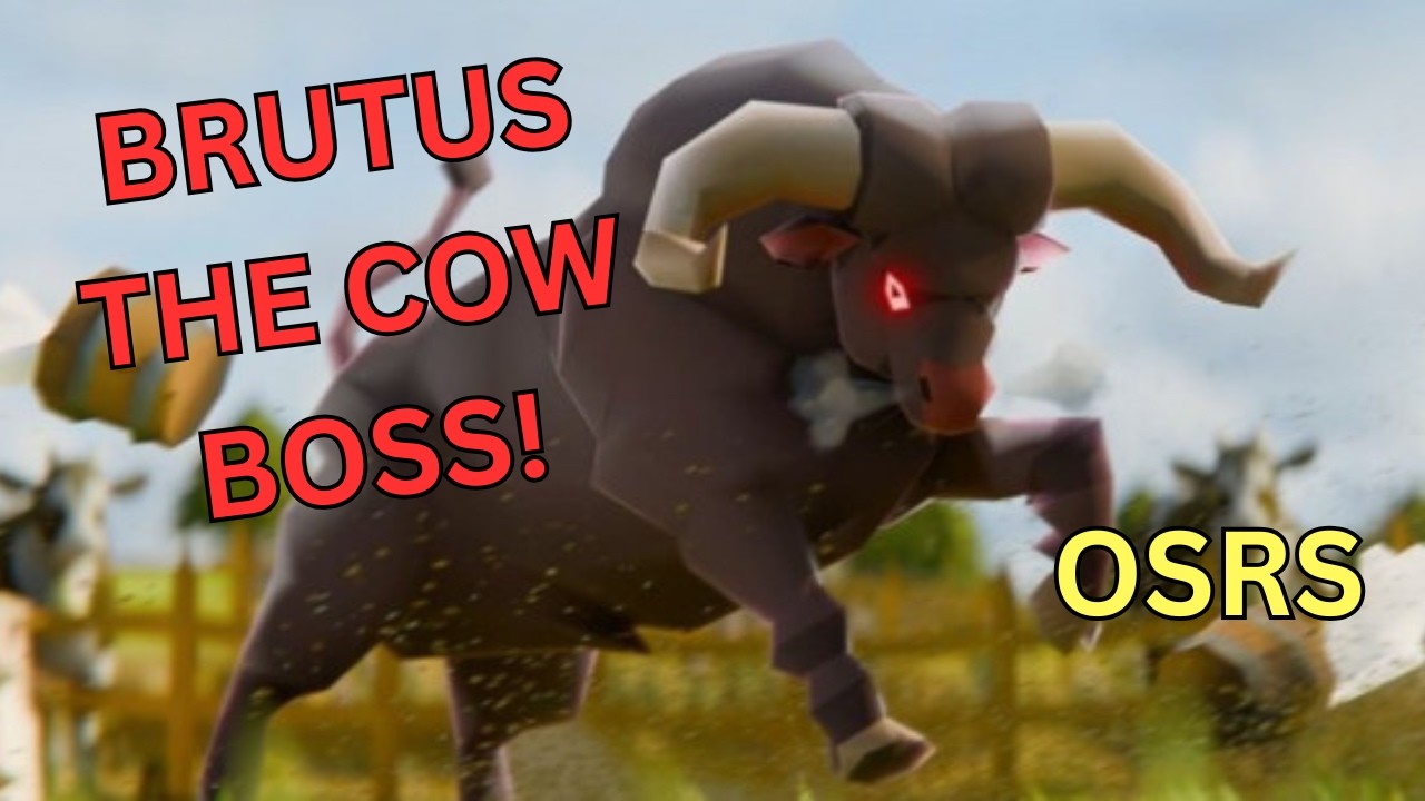 OSRS Cow Boss Brutus!