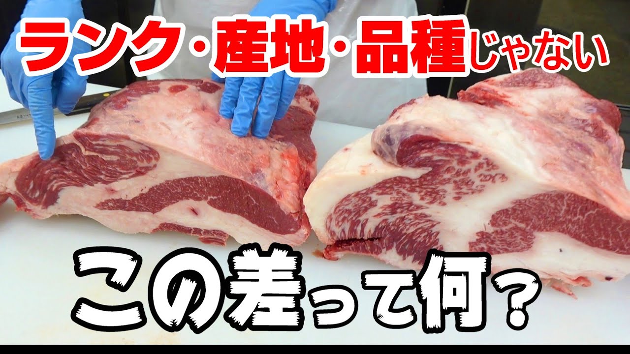 牛のお母さん【経産牛って知ってる？】肉屋が２つの和牛の違いを解説。