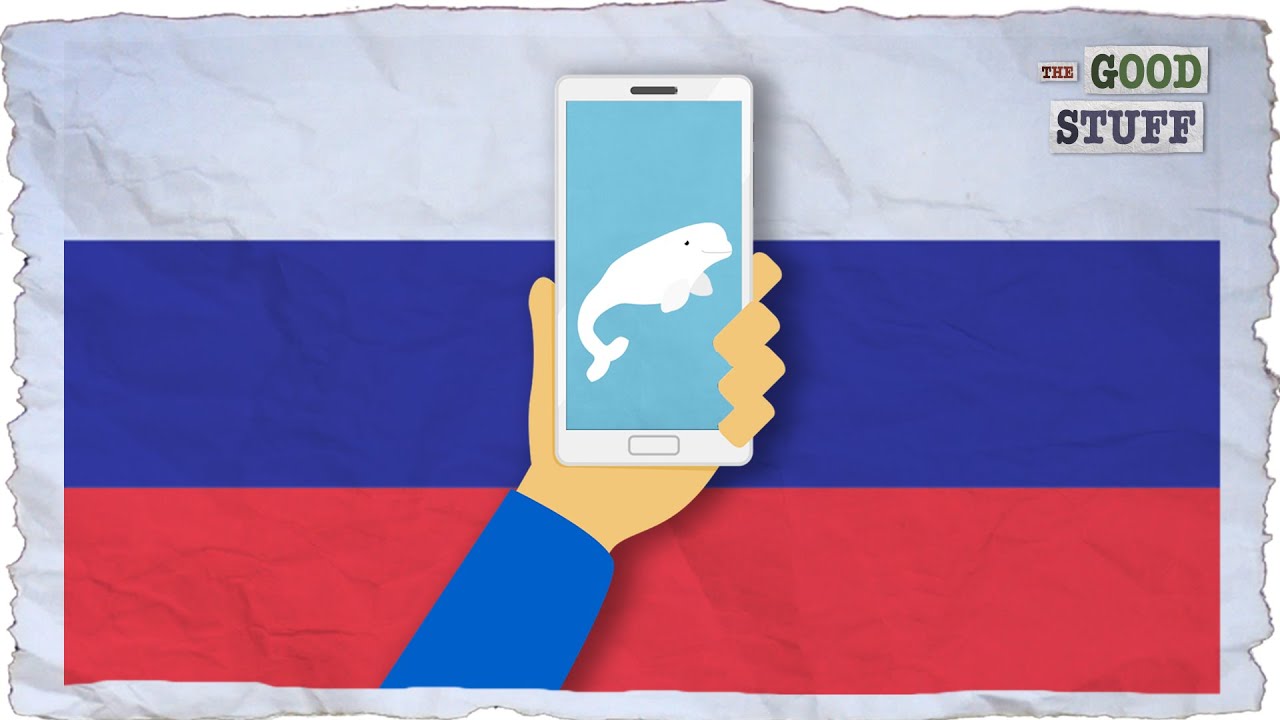Is This Whale a Russian Spy?