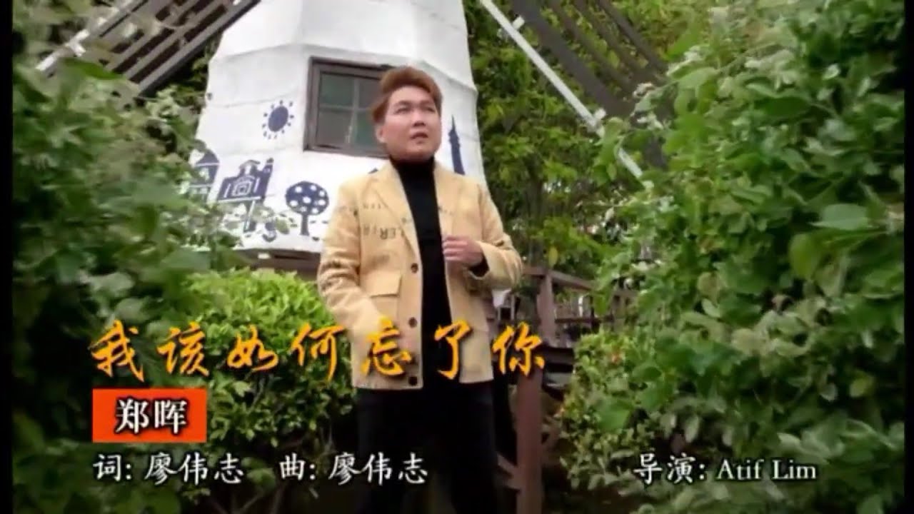 我該如何忘了你（郑晖）KTV