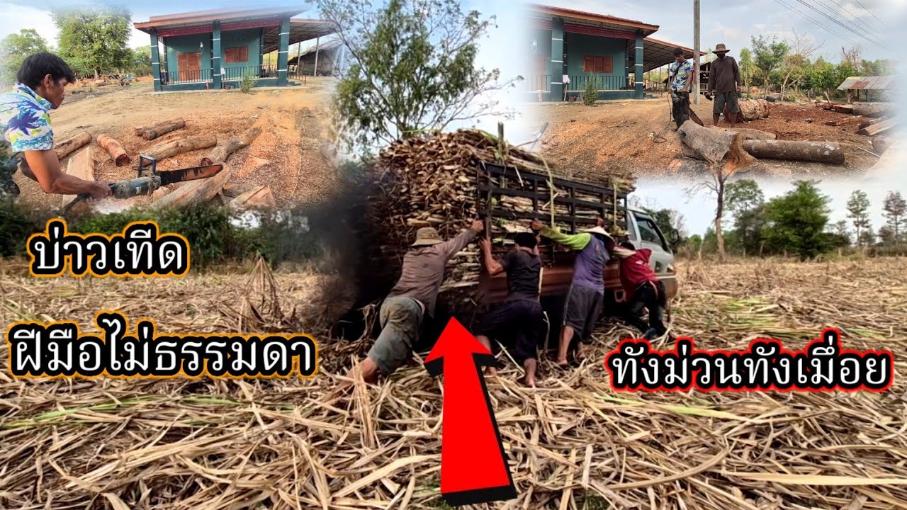 #บ่าวเทีด‼️ทดลองฝีมือไม่ธรรมดา ทังม่วนทังเมึ่อย #บ่าวน้อยสาวแหล่ 27 กุมภาพันธ์ ค.ศ. 2026