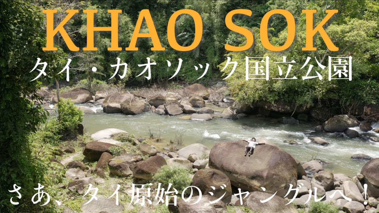 【タイの秘境ジャングル🇹🇭】カオソック国立公園へ｜タイ原始のジャングル、3日間の旅